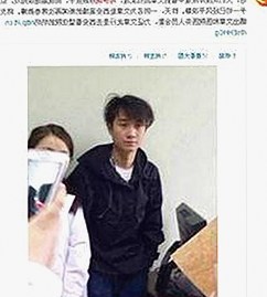 全面解析：鲁鲁影院电视剧免费观看最新章节官方版下载的现状与影响