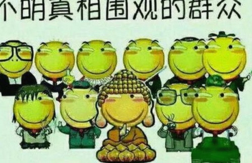 爱液官方网站winall：最新动态揭秘，涵盖免费看mv大片、菠萝视频等内容
