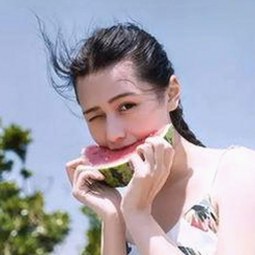 如何在郴州市实现免费看mv大片的最新途径