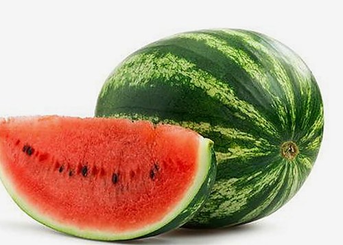 快猫官方版：满足您的多样观看需求与最新资源