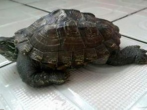 最新发现：91网站免费版为用户提供丰富影视资源