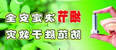 全面解析菠萝视频免费版：最新功能与资源介绍
