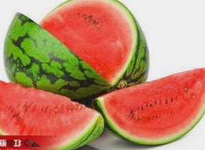深入探讨永久mt660与免费版的使用与差异