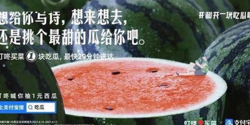 最新动态：撸撸射免费版下载引发用户关注与变化