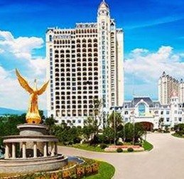 樱花视频官方版正版下载：多平台资源一站式体验