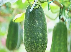 明星揭秘：🔞🍌进🍑里❌❌❌片AV官方版下载中的行业内幕