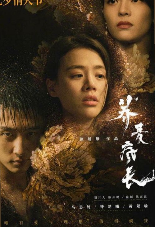 全面解析禁漫天堂下载免费版：获取资源的多样选择与注意事项