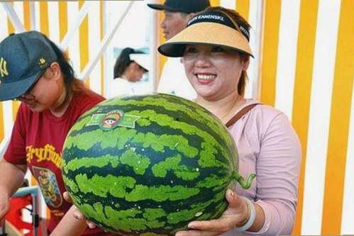 关于黄色软件下载官方版的最新动态及相关资源介绍