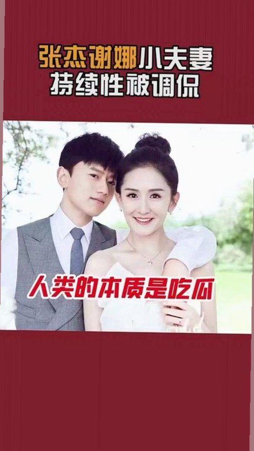 揭秘妖精动漫官方版的发展历程与现状
