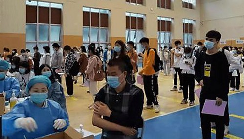 全面解析：西瓜视频免费官方版正版下载的最新动态与安全指南