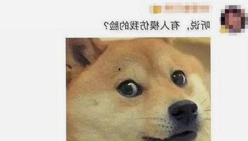 探索刘宇宁与91免费版官方版的最新动态