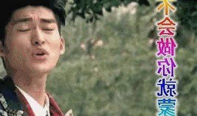 明星追剧必备：西瓜视频免费官方版下载带你轻松看尽娱乐热点