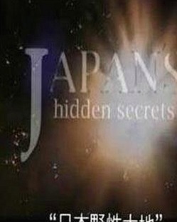 国产mv免费观看高清电视剧在线观看官方版：最新观看指南与资源解析
