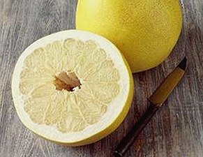 全面解析91免费下载：满足您的高清影视需求
