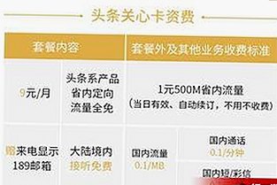 调色大片视频60分钟官方版正版下载：高清体验必备资源推荐