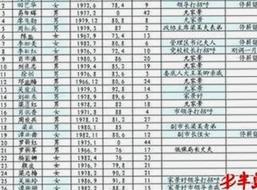 全面了解91免费网站免费版：满足您的各种在线播放需求