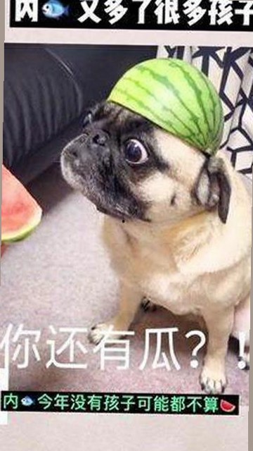 此时此刻电视剧在线观看：探索多平台资源与最新观看体验