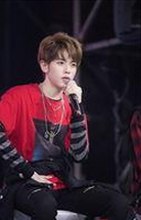 深入解析：7777官方版免费版在福州市的最新动向