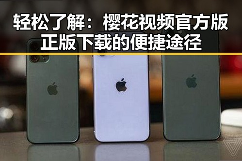 轻松了解：樱花视频官方版正版下载的便捷途径