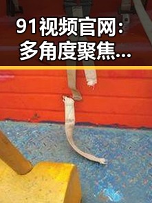 91视频官网：多角度聚焦山南市娱乐事件与内容平台发展