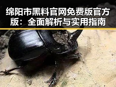 绵阳市黑料 官网免费版官方版：全面解析与实用指南