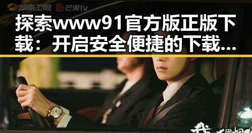 探索www91官方版正版下载：开启安全便捷的下载体验