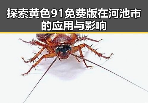 探索黄色91免费版在河池市的应用与影响