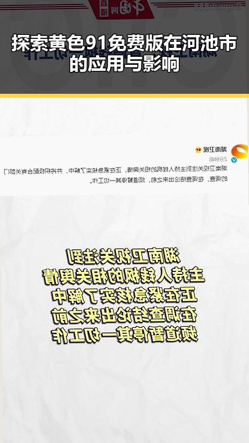 探索黄色91免费版在河池市的应用与影响