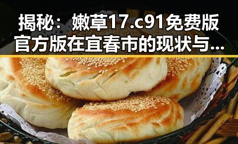 揭秘：嫩草17.c 91免费版官方版在宜春市的现状与发展