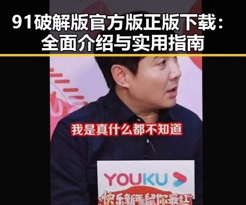 91破解版官方版正版下载：全面介绍与实用指南