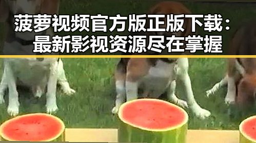 菠萝视频官方版正版下载：最新影视资源尽在掌握