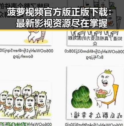 菠萝视频官方版正版下载：最新影视资源尽在掌握