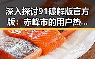 深入探讨91破解版官方版：赤峰市的用户热衷体验
