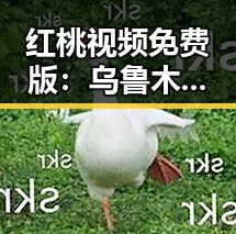 红桃视频免费版：乌鲁木齐市的最新娱乐资源介绍