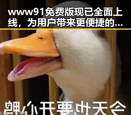 www91免费版现已全面上线，为用户带来更便捷的体验