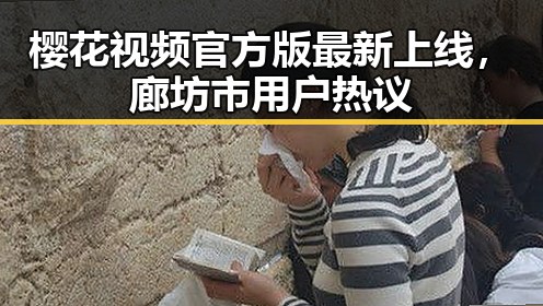 樱花视频官方版最新上线，廊坊市用户热议