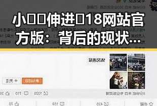 小🐔🐔伸进🈲18网站官方版：背后的现状与争议