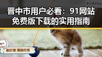 晋中市用户必看:91网站免费版下载的实用指南