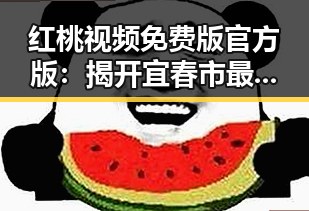 红桃视频免费版官方版:揭开宜春市最佳娱乐平台的真实面貌