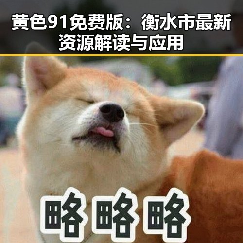 黄色91免费版：衡水市最新资源解读与应用