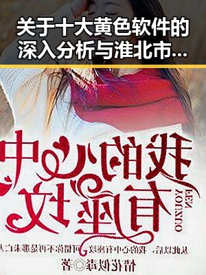 关于十大黄色软件的深入分析与淮北市的现状解读