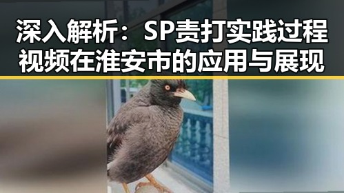 深入解析:SP责打实践过程视频在淮安市的应用与展现