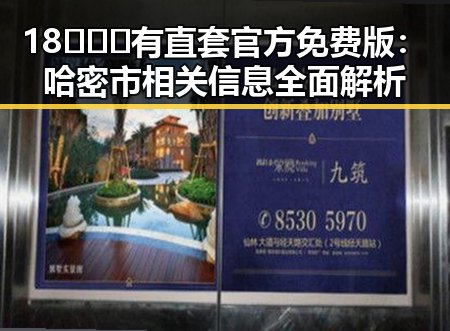 18❌❌❌有直套官方免费版：哈密市相关信息全面解析
