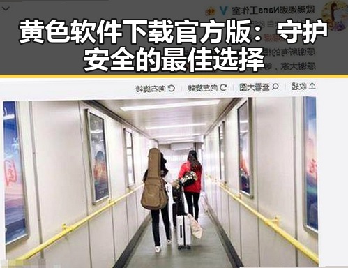 黄色软件下载官方版：守护安全的最佳选择