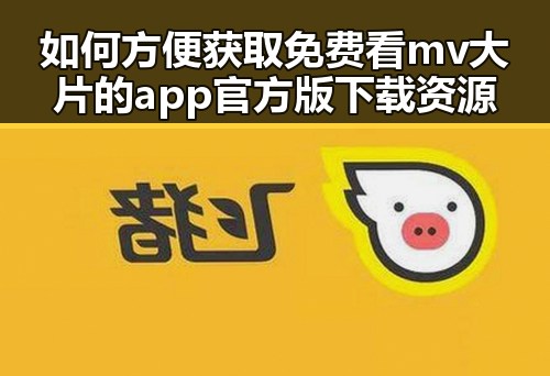 如何方便获取免费看mv大片的app官方版下载资源