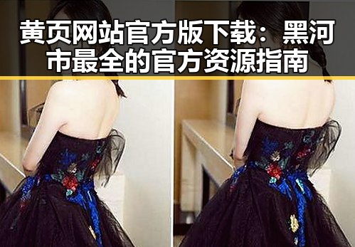 黄页网站官方版下载：黑河市最全的官方资源指南