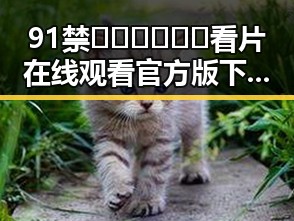 91禁🍆🍑🔞❌❌❌看片在线观看官方版下载：最新资源解析