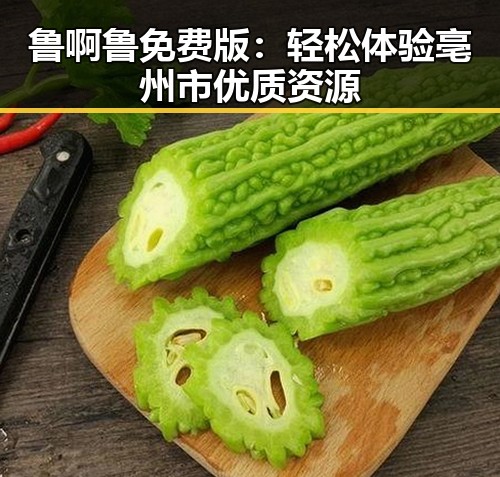 鲁啊鲁免费版：轻松体验亳州市优质资源