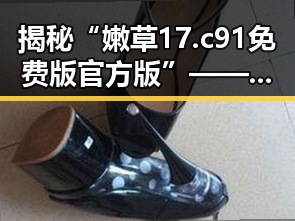 揭秘“嫩草17.c 91免费版官方版”——邯郸市用户的最新选择