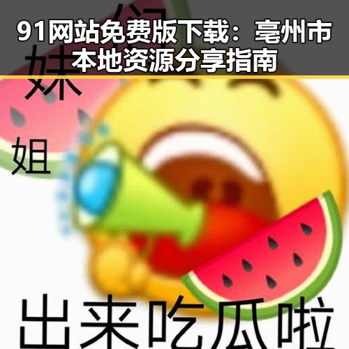 91网站免费版下载：亳州市本地资源分享指南